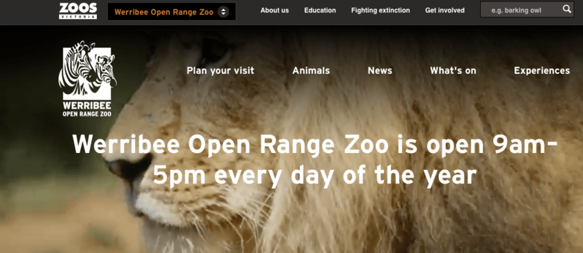 Exotic Wildlife at the Werribee Open Range Zoo